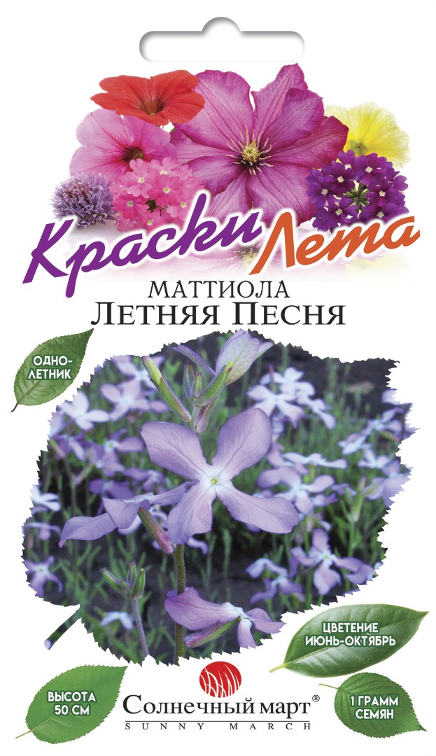 Маттиола Летняя песня